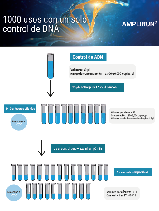 Preparación control ADN